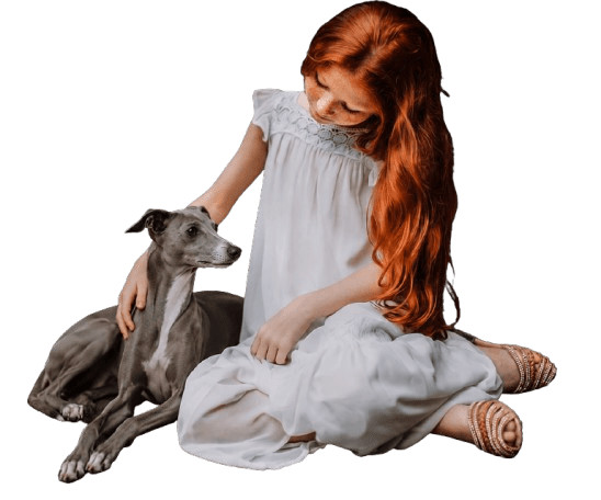 Grey hound